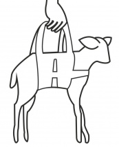 Wiegeschlinge für Lämmer