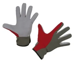 Aventex