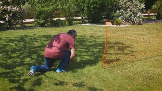 PoultryNet orange elektrifizierbar - Geflügelnetz, 50 m, Doppelspitze