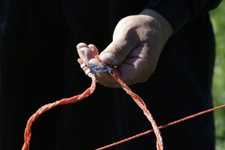 PoultryNet orange elektrifizierbar - Geflügelnetz, 50 m, Doppelspitze
