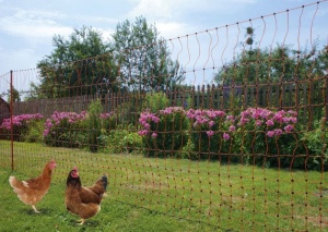 PoultryNet orange elektrifizierbar - Geflügelnetz, 50 m, Doppelspitze