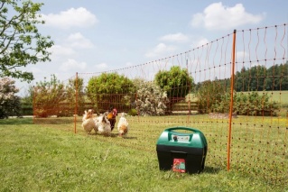 PoultryNet orange elektrifizierbar - Geflügelnetz, 50 m, Doppelspitze