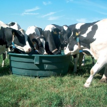 Weidetrinktrog oval 1000 lt.