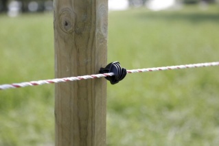 Seilisolator Easy Cord, 25 Stück