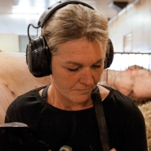 3M Peltor Gehörschutz Worktunes Pro