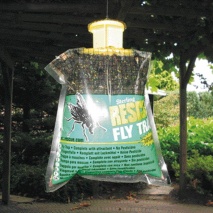 Flytrap Fliegenfalle