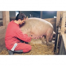 MS Multiscan Digital