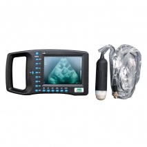 MS Multiscan Digital