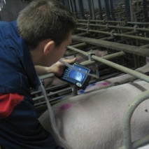 MS Multiscan Digital