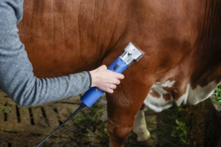 Aesculap Econom 2 Schermaschine GT474 Rind/Pferd