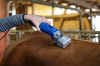 Aesculap Econom 2 Schermaschine GT474 Rind/Pferd