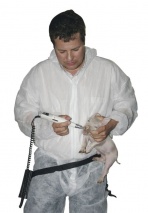 Akku - Zahnschleifgerät ProPig