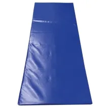 Desinfektionsmatte 180 x 90 x 3 cm, stark