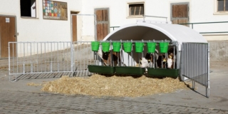 CalfHouse Premium XXL