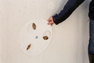 CalfHouse Premium XXL