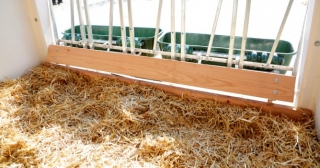 CalfHouse Premium XXL