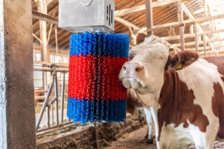 Kuhputzmaschine HAPPYCOW MidiSwing