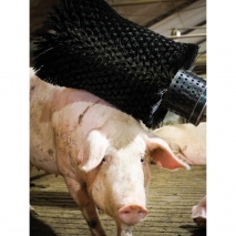 Comfy Schweinebürste rotierend, 24V