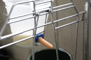 Tränkeventil FixClip New Generation mit Naturkautschuk-Sauger