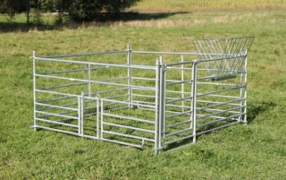 Steckhorde, diverse Größen