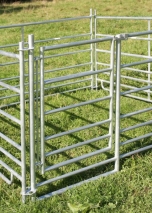 Steckhorde, diverse Größen