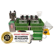 MS Pigsleeper flexy, 4 Ferkel