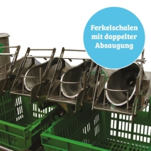 MS Pigsleeper flexy, 4 Ferkel