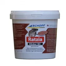 Ratzia Köder BC