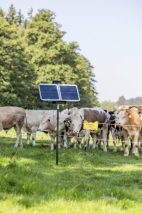 Sun Power S 2400 smart