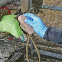 Technovit-2-Bond Klauenleim, 210 ml