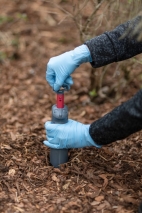 cit Wühlmausfalle VoleStop