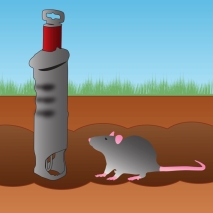 cit Wühlmausfalle VoleStop