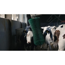 MS Rotierende Kuhbürste / Viehbürste