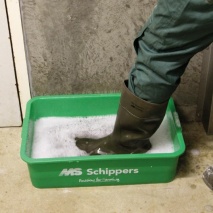 MS Kiemkill Tabs, 100 x 100 Gramm