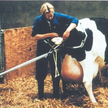 Geburtshelfer lang, 180 cm Stange 