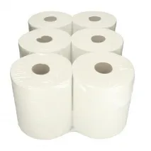 Papier 2-lagig vorgeschnitten, 6 Stück