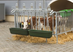 Langfuttertrog zum Einhängen