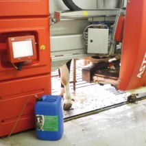 MS Keto Protect Plus, 240 kg