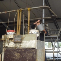 MS Keto Protect Plus, 240 kg