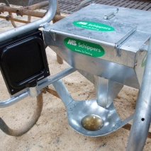 MS Keto Protect Plus, 240 kg